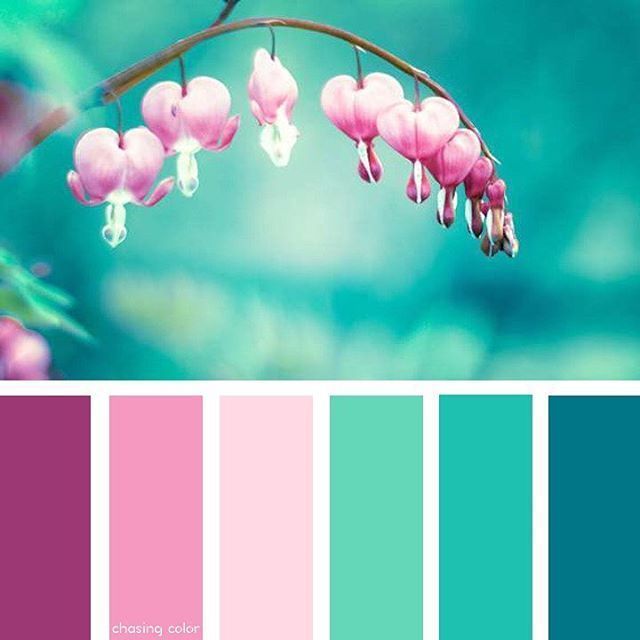 la importancia del color